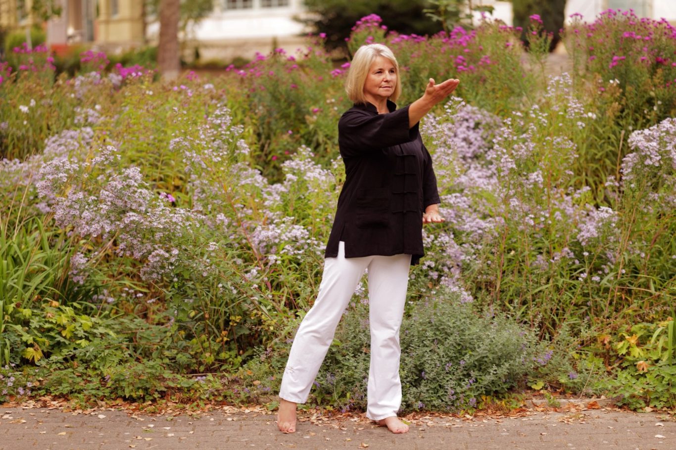 Meine Qigong Angebote